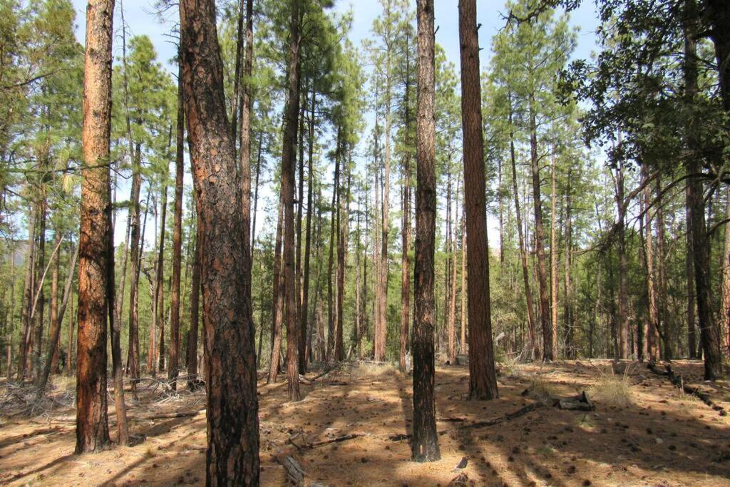 Forest Cabin 7 Seventh Heaven Payson Ngoại thất bức ảnh